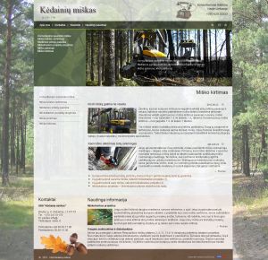 interneto svetainių kūrimas Kėdainiai